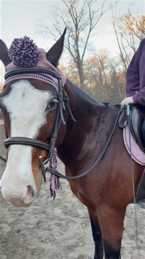Horse’s braided tail playfully strikes rider in Middleboro, USA