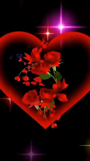 Romantic Red Roses and Heart Silhouette Video