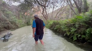 With over 4 million litres an hour of fresh water running through It Eli Creek is an awesome place to spend a couple hours even a day to unwind, just perfect 👌 | The Springs 4x4 Park