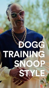 4.8K views · 145 reactions | Did we just find our newest dogg trainer? ​ P.S. Get 30% off dog training classes during our Black Friday in July sale. Learn more at: bit.ly/3XL2Viv | Petco | Facebook