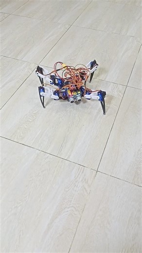 Spider robot