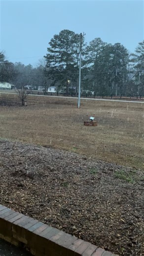 Snow