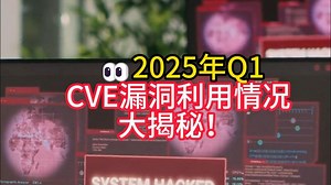 👀2025年Q1，CVE漏洞利用情况大揭秘！