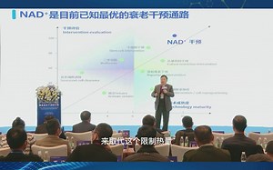 NAD+是目前已经最优的衰老干预通路