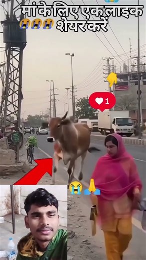 gau mata jarur like 🥹🥹