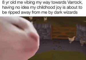 14K views · 748 reactions | Oldschool Runescape Memes on Reels | Facebook