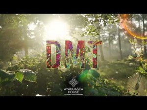 🌿 How Ayahuasca is Prepared and Its Main Ingredients🌱