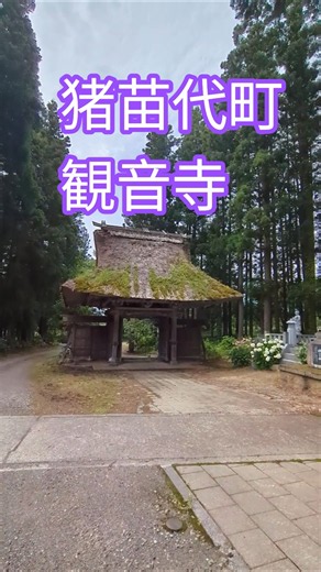 猪苗代町の観音寺 茅葺きの山門がいいねぇ～ #観音寺 #お寺巡り #猪苗代
