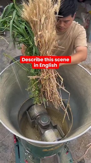 Native | English | Learning on Instagram: "Save this video + repeat daily for results 📈 Want to speak English fluently-fast? Save this video + repeat daily for results . . . . . . #IELTS #english #ieltsspeaking #englishteacher #businessenglish"