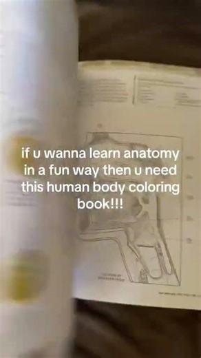Human body coloring book