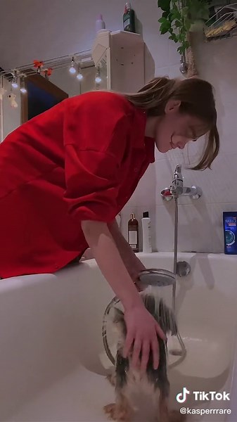 Bathing a Small Dog: Grooming Tips and Tricks