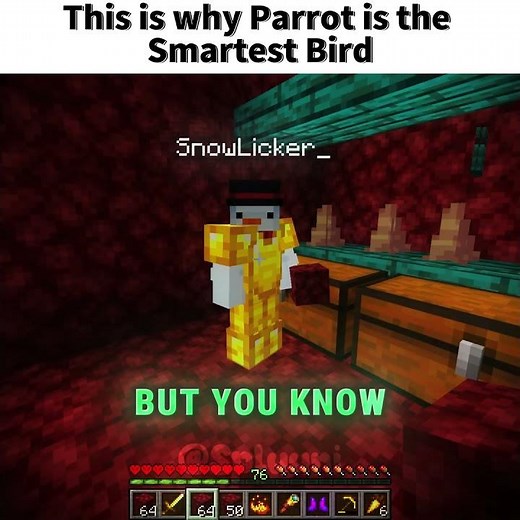Why ParrotX2 is the most dangerous player | Unstable SMP