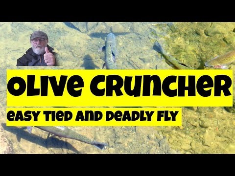 Flies for trout (Olive cruncher)