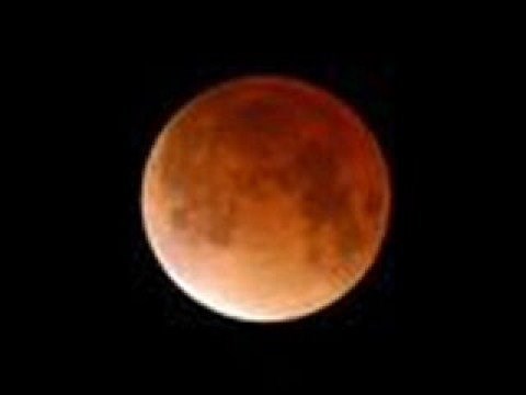 Wonderland by Night/Bert Kaempfert