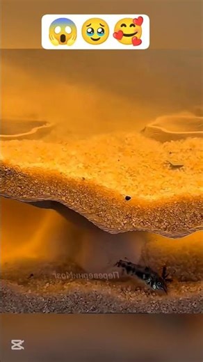 🐟 He made a cave for his fish using a 3D printer! #aquarium #fish #3Dprinting