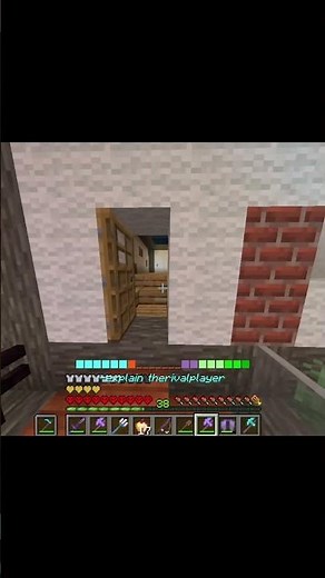 why should you join my scripted mc server?