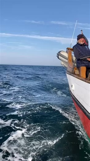 Unterwegs mit Arved Fuchs und der Dagmar Aaen. Erinnerungen an die Expedition OCEAN CHANGE 2025. #abenteuer #leidenschaft #woodenships #segeln #arvedfuchs #meererleben | Arved Fuchs Expeditionen