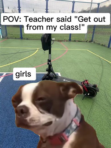 Creative Meme Cuts for Ultimate Laughter