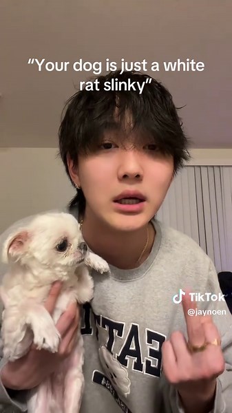 JayNoen (@jaynoen) - Dio the Slinky: A Dog's Fascination with Samba Dance