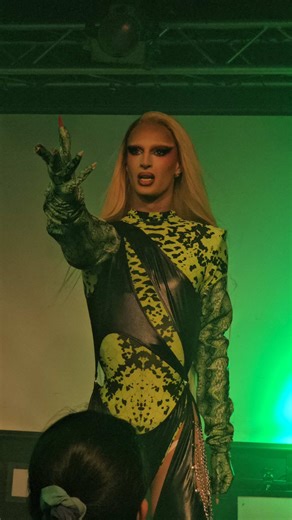 Experience the Excitement of Live Drag Shows