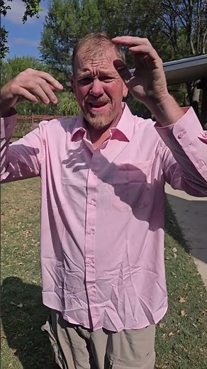 Alimens & Gentle 3-Pack Stain Shield Dress Shirts for Men – Slim Fit, Long Sleeve, Wrinkle-Free, and