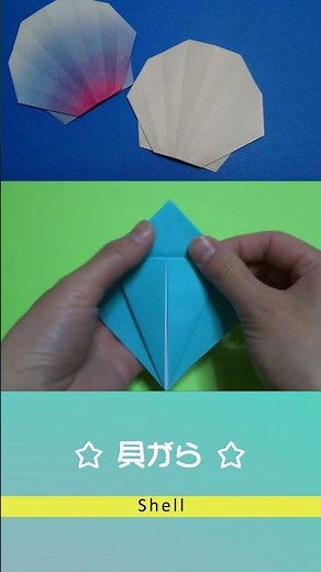 折り紙 【七夕・夏】キレイな貝殻 折り方 / Origami Shell #shorts #折り紙 #origami