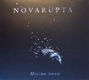 Novarupta - Marine Snow