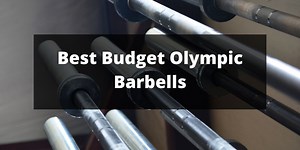 The Best Olympic Barbells Under $200