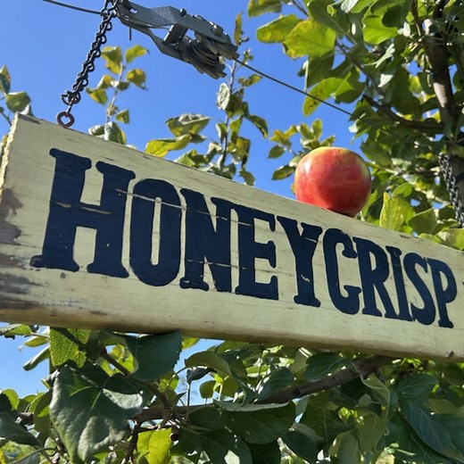 No bad apples here: These are the 15 best apple orchards in Upstate NY, ranked