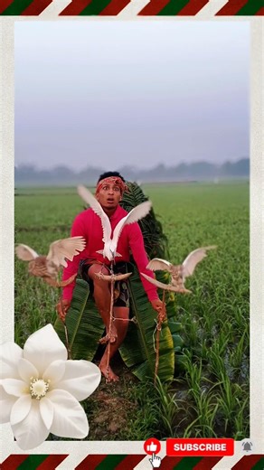 Amazing Wild Bird Moments in the USA 🇺🇸