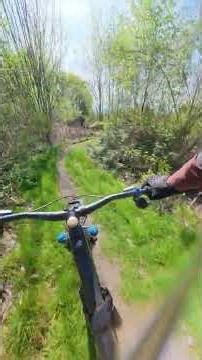 Piste bleue Francky Trail du Bike Park Limousin VTT #mtb #vtt #downhill