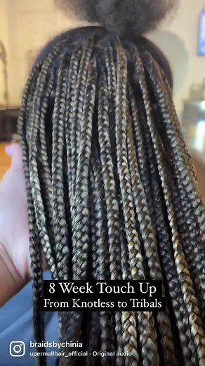Stunning Tribal Braids and Knotless Styles Tutorial