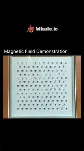 @explains.everything on Instagram: "A magnetic field demonstration shows the invisible forces that surround magnets 🧲✨. Using iron filings or special fluids, the hidden lines of attraction and repulsion become visible, revealing how magnets shape the space around them. It’s a simple yet powerful way to see physics in action. Follow (us) !! Boost Your Experience level Every Day ⚡ With - @explains_.everything #explain #everything #time #knowledge #ideas #creative #facts #education #new #learning"