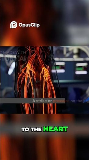 Jugular Vein The Deadly Neck Area Explained