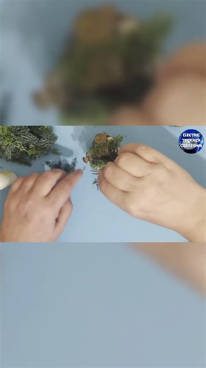 Final Touches: Moss Crown Glamour Shots Coming!