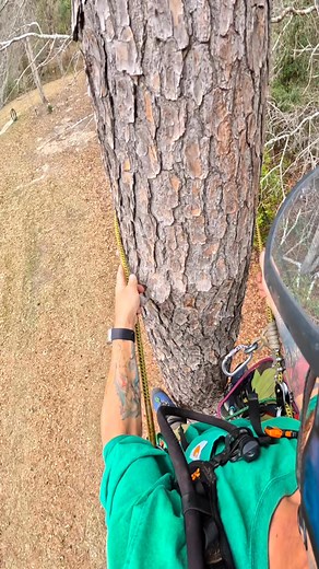 For non climbers and new climbers - this is called “gaffing out” it’s how the gafs on your spikes/ spurs tell you that they need to be sharpened 😅 | Nick Fakham