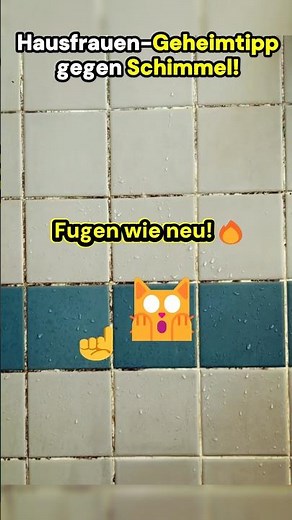 Fugen reinigen & Schimmel dauerhaft stoppen (bis zu 15 Monate) AGO Schimmelentferner!
