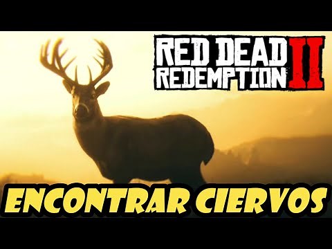 Donde encontrar CIERVOS en Red Dead Redemption 2✔️