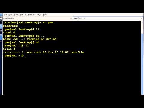 Using the chown command