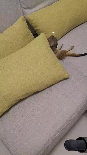 晴 (@aiaeab) 的影片使用了 吨吨吨吨吨~~嘿（Live） (Instrumental) - 菠萝赛东