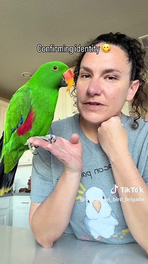 Enjoying Late Summer Sunshine with Eclectus and Macaw