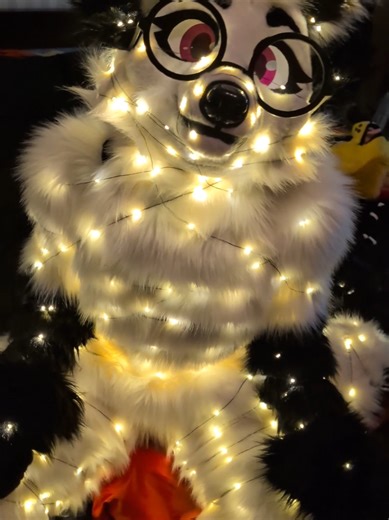 Creative Living Christmas Tree Ideas for Furry Fans