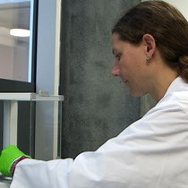 Video: Combined Size and Density Fractionation of Soils for Investigations of Organo-Mineral Interactions