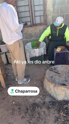 Understanding Aki's Lessons on Business Growth