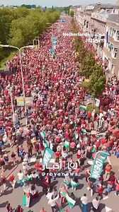 30K views · 1.4K reactions | Massive pro-Palestine protest in the Netherlands | Roya News English | Facebook