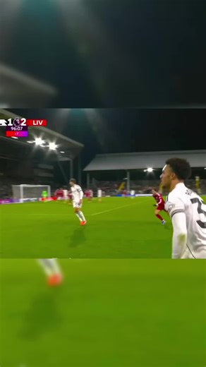 Livarpool Academy Training Sessions Overview