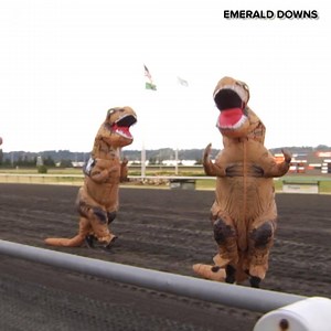 78K views · 973 reactions | T-REX RACE: People wearing T-rex costumes raced at the Emerald Downs racetrack in Auburn, Washington on Saturday. The competitors lined up in the race stalls and ran down the track! | 9&10 News | Facebook