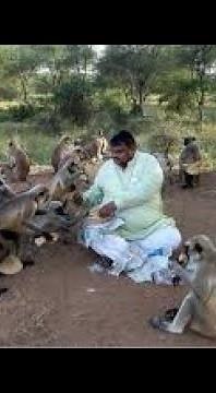 Monkeys friends // MONKEY