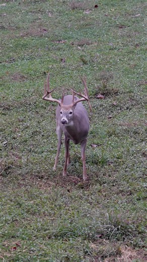 Book Your 2026/2027 Hunt at Gopher Ridge Farms