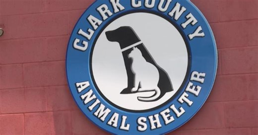 Clark County Animal Shelter helps reunite pets frightened by Fourth of July fireworks with their owners